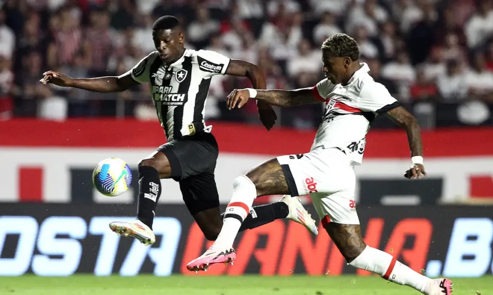 campeonato-brasileiro-2024-registra-segunda-maior-media-de-publico-da-historia