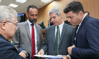 camara-de-campinas-vota-criacao-do-fundo-municipal-de-protecao-animal