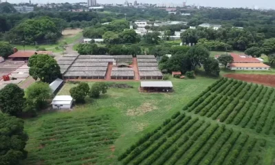 apos-pressao,-tarcisio-descarta-venda-de-fazenda-centenaria-de-campinas