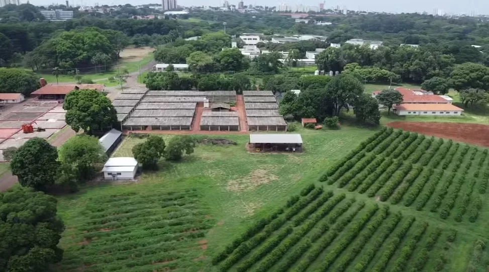 apos-pressao,-tarcisio-descarta-venda-de-fazenda-centenaria-de-campinas