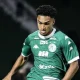 com-reforcos-do-profissional,-guarani-conquista-titulo-nas-categorias-de-base