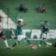guarani-entra-em-campo-nesta-segunda-feira;-saiba-tudo-sobre-o-confronto