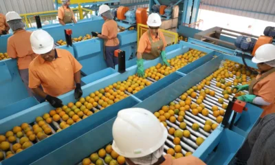tarifaco-de-trump-deixa-de-fora-avioes,-minerios-e-suco-de-laranja;-veja-lista-de-excecoes