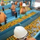 tarifaco-de-trump-deixa-de-fora-avioes,-minerios-e-suco-de-laranja;-veja-lista-de-excecoes