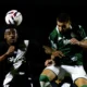ponte-preta-e-guarani-fazem-jogos-decisivos-na-serie-c;-veja-provaveis-escalacoes