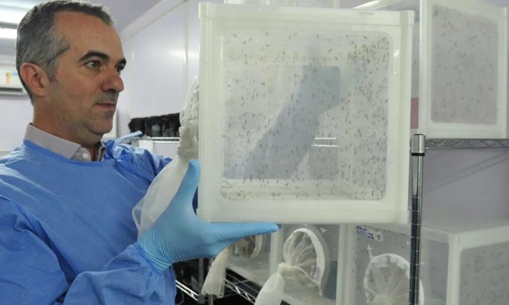 brasileiro-criador-do-“aedes”-que-bloqueia-dengue-e-eleito-pela-nature