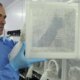 brasileiro-criador-do-“aedes”-que-bloqueia-dengue-e-eleito-pela-nature