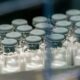 vacina-contra-a-dengue-do-butantan-comeca-a-ser-aplicada-em-janeiro