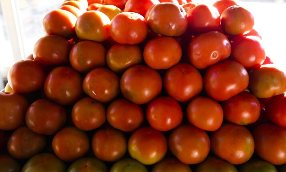 inflacao-da-comida-em-casa-cai-0,2%-em-novembro,-sexto-recuo-seguido