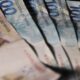 mais-de-141-mil-ainda-nao-sacaram-abono-salarial;-veja-como-consultar