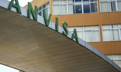 anvisa-manda-recolher-panetones-com-fungo