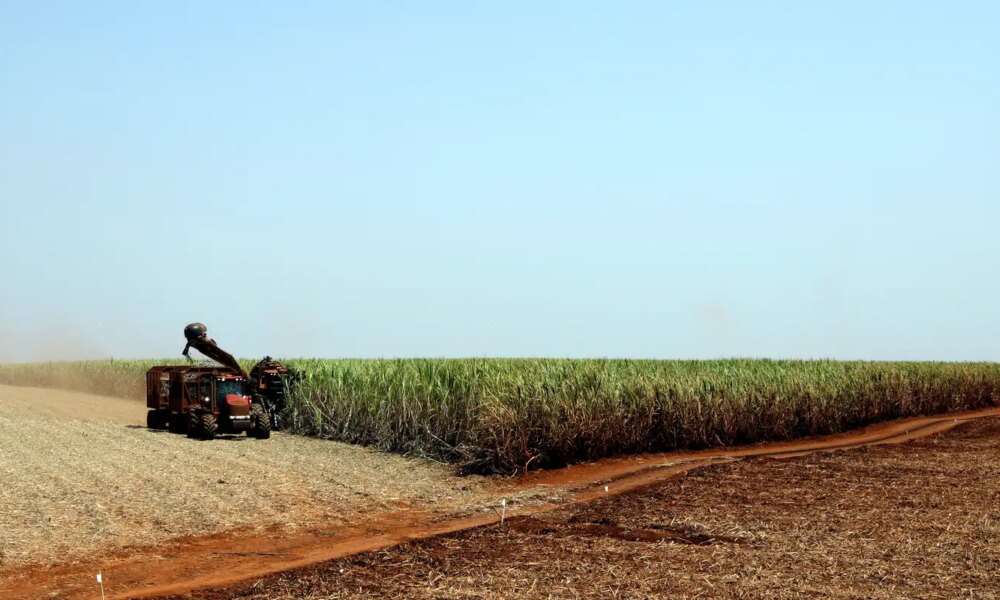 ibge-preve-safra-recorde-de-346-milhoes-de-toneladas-em-2025