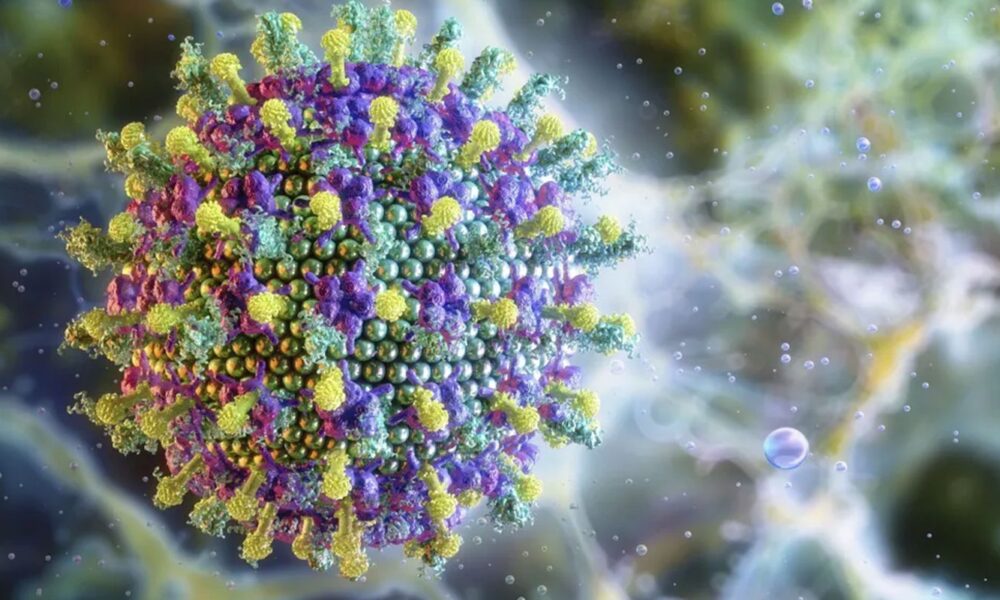 nipah:-saiba-mais-sobre-o-virus-que-preocupa-a-asia