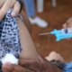 cobertura-vacinal-contra-hpv-atinge-95,81%-na-capital-paulista