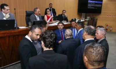 camara-de-campinas-aprova-endurecimento-de-multas-por-maus-tratos-a-animais