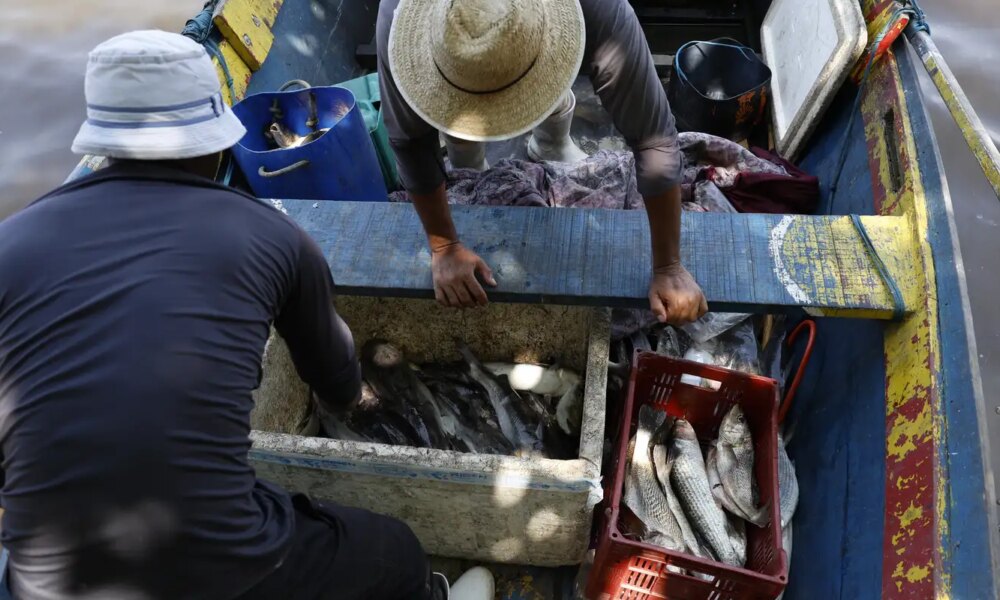 pescadores-beneficiados-pelo-seguro-defeso-recebem-6o-lote-nesta-terca