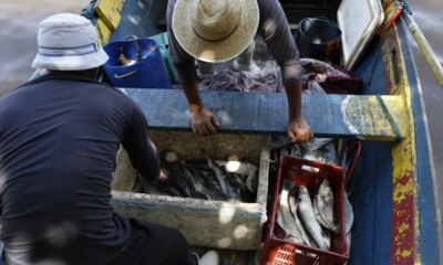 pescadores-beneficiados-pelo-seguro-defeso-recebem-6o-lote-nesta-terca