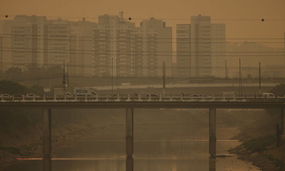 cmn-muda-regra-do-eco-invest-para-impulsionar-projetos-verdes