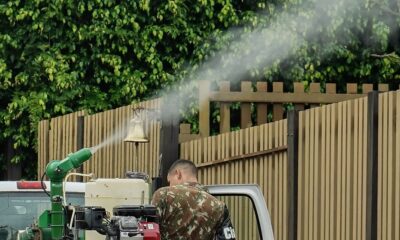mato-grosso-do-sul-vai-receber-vacina-em-projeto-contra-chikungunya