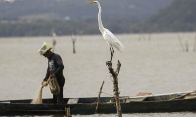 mudancas-aprovadas-para-o-seguro-defeso-previnem-fraudes,-diz-relator