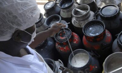 cmn-libera-linha-de-capital-de-giro-a-cooperativas-de-leite-no-pronaf