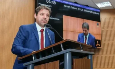 camara-de-campinas-vota-projetos-sobre-bem-estar-animal-nas-escolas-e-punicoes-por-vandalismo