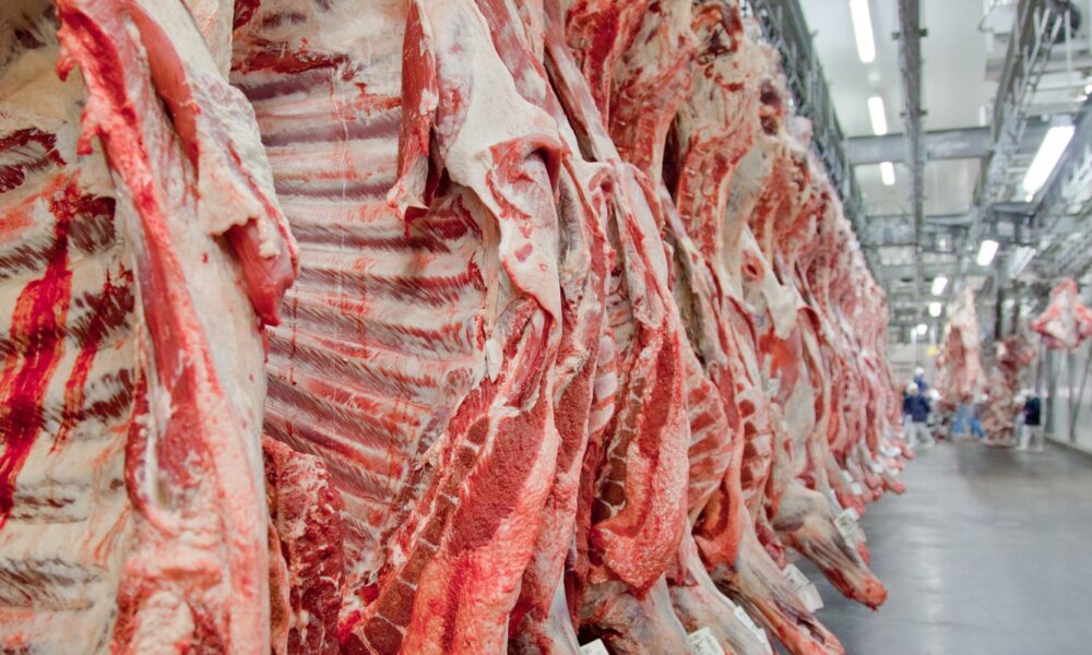 governo-promete-reverter-veto-da-ue-a-carnes-e-animais-brasileiros