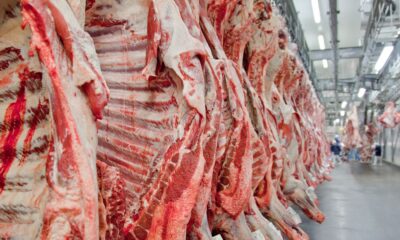 governo-promete-reverter-veto-da-ue-a-carnes-e-animais-brasileiros