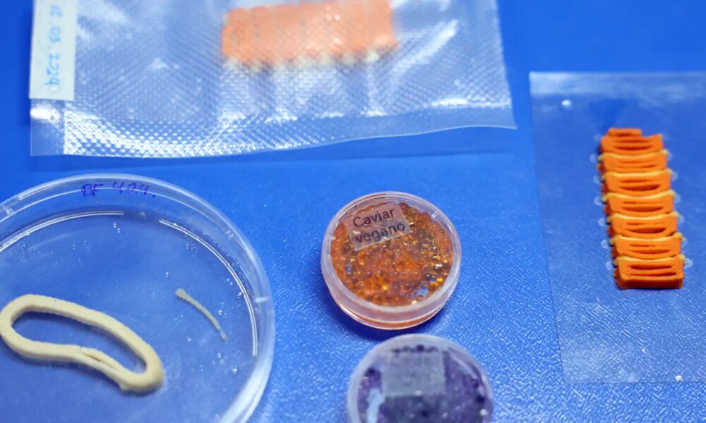 embrapa-produz-em-laboratorio-salmao,-caviar-e-aneis-de-lula-veganos