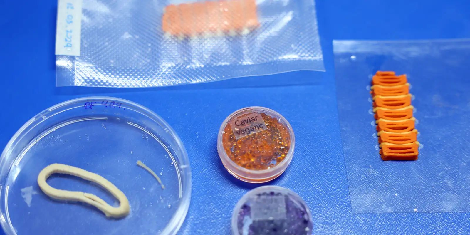 embrapa-produz-em-laboratorio-salmao,-caviar-e-aneis-de-lula-veganos