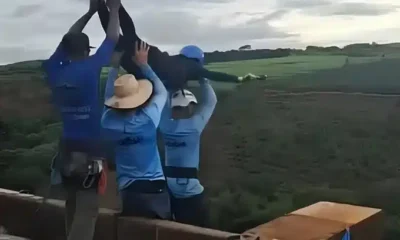 rope-jump:-conheca-a-modalidade-praticada-por-jovem-que-morreu-ao-ser-arremessada-de-ponte