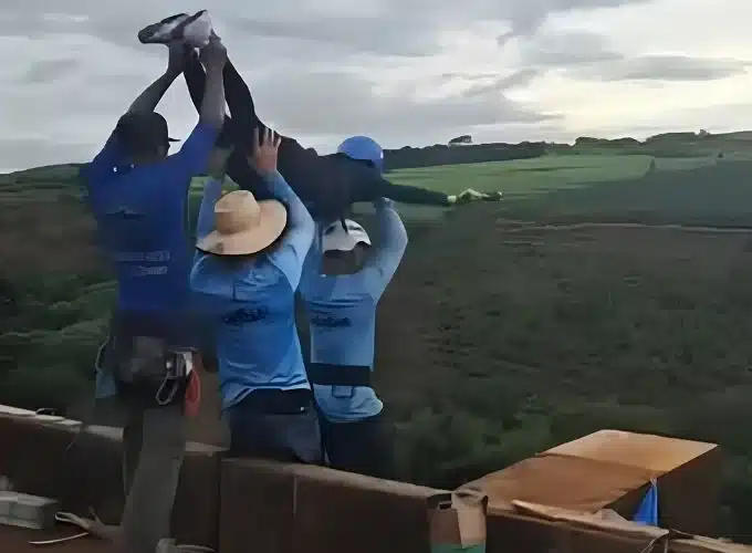 rope-jump:-conheca-a-modalidade-praticada-por-jovem-que-morreu-ao-ser-arremessada-de-ponte