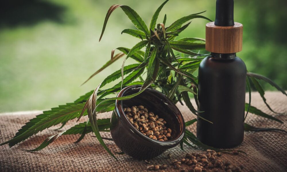 projeto-apoia-maes-e-criancas-atipicas-tratadas-a-base-de-cannabis