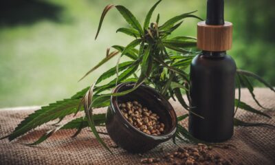 projeto-apoia-maes-e-criancas-atipicas-tratadas-a-base-de-cannabis