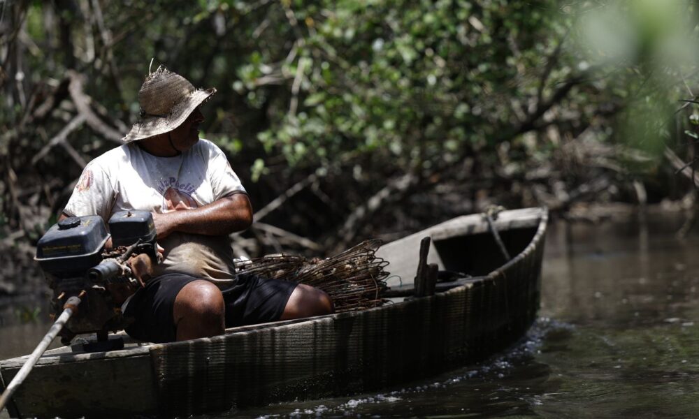 inss-paga-em-julho-r$-874-milhoes-a-149,5-mil-pescadores
