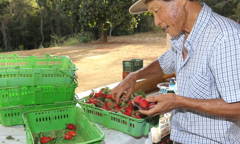 finep-vai-pagar-r$-220-milhoes-para-inovacoes-em-agricultura-familiar 