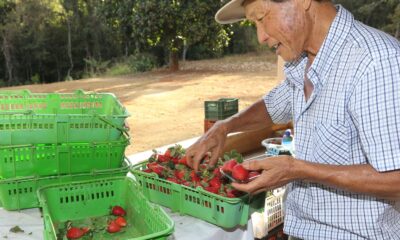 finep-vai-pagar-r$-220-milhoes-para-inovacoes-em-agricultura-familiar 