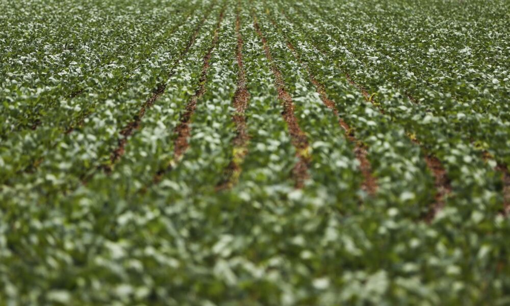 entenda-impasse-entre-bancada-do-agro-e-governo-sobre-dividas-rurais