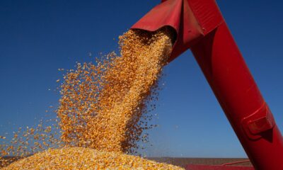 ibge-preve-safra-de-347,4-milhoes-de-toneladas-para-2026