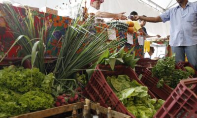 decreto-adia-exigencia-de-cnpj-para-autonomos-e-produtores-rurais