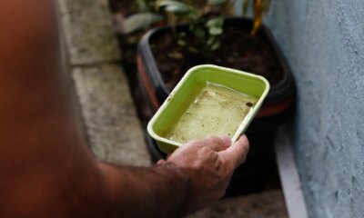 el-nino-pode-aumentar-casos-de-chikungunya-e-dengue-no-brasil