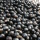 china-facilita-exportacao-de-polpas-e-frutas-congeladas-brasileiras