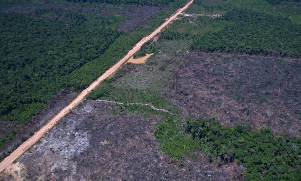 eco-invest-brasil-promove-quinto-leilao-para-financiar-inovacao