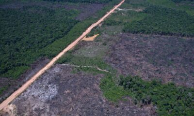 eco-invest-brasil-promove-quinto-leilao-para-financiar-inovacao