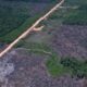 eco-invest-brasil-promove-quinto-leilao-para-financiar-inovacao