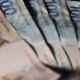 divida-publica-sobe-2,61%-em-junho-e-supera-r$-9,2-trilhoes