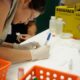 estudo-sobre-hepatites-virais-traca-panorama-da-doenca-em-onze-anos
