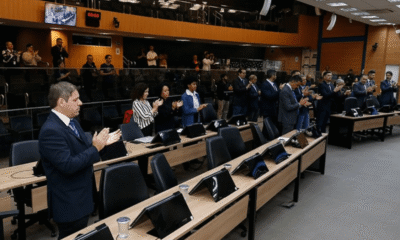 campinas-aprova-focinheira-para-caes-de-grande-porte-e-restricao-a-condenados-por-maus-tratos