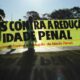 pediatras-se-manifestam-contrarios-a-reducao-da-maioridade-penal