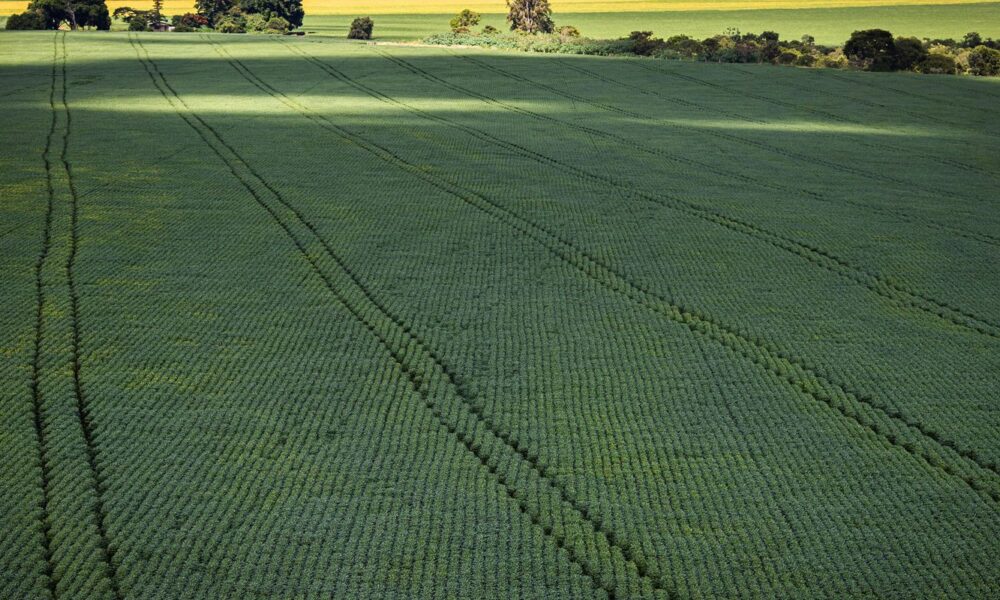 senado-aprova-plano-para-fabricacao-de-fertilizantes-no-brasil